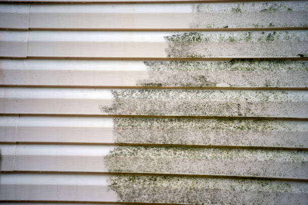 Best Construction Debris Removal  in North Bellmore, NY