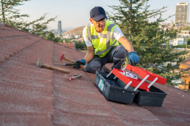 Best Dumpster Rental Services  in North Bellmore, NY